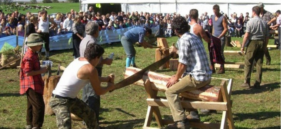 Foto di Alberto Penasa Dal palio delle frazioni alla Desmalgada, al via la Festa dell'agricoltura in val di Peio
